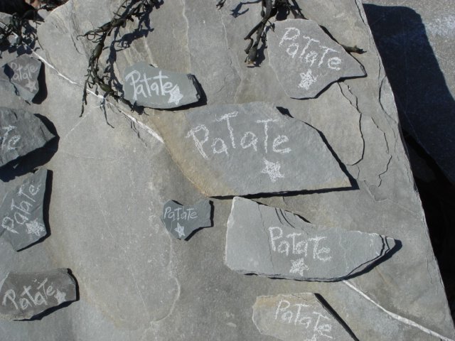 gaspesie027.jpg