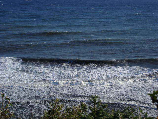 gaspesie103.jpg