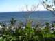 gaspesie109_small.jpg