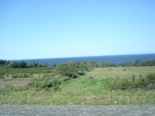 gaspesie198.jpg