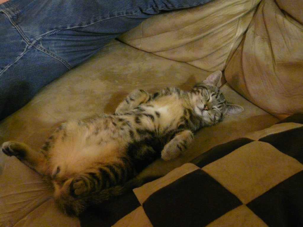 p1020254.jpg