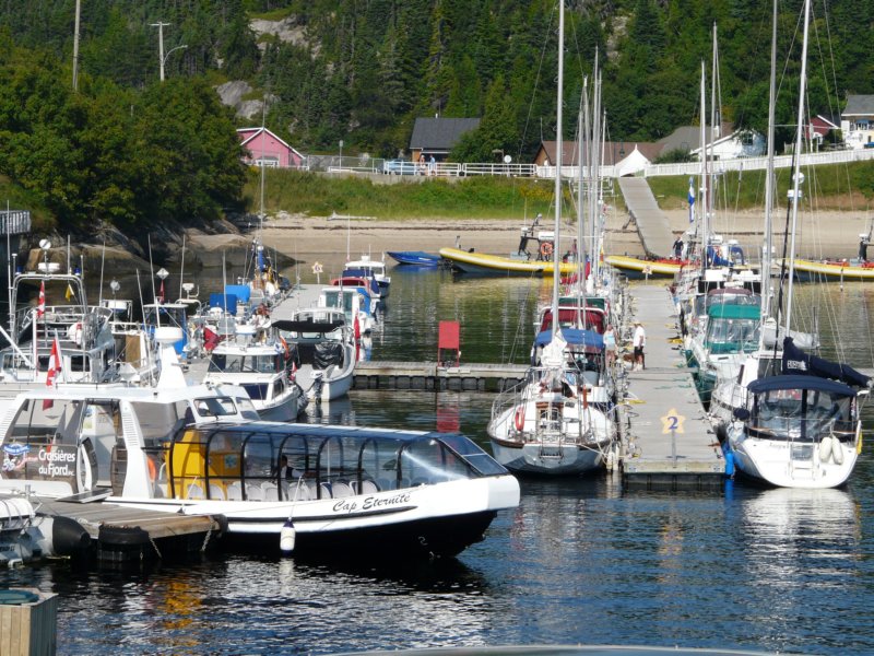 p1010894.jpg