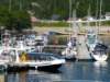 p1010894_small.jpg
