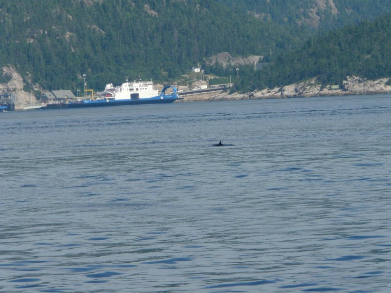 p1010935.jpg