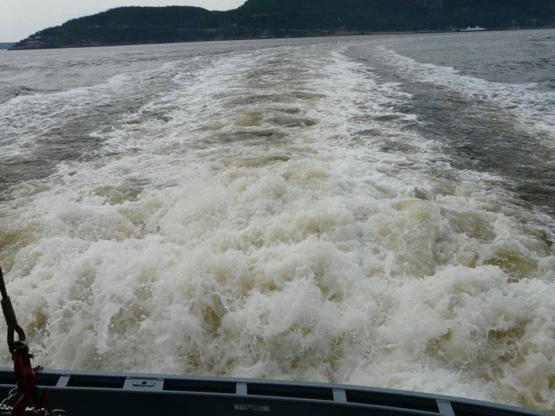 p1010959.jpg