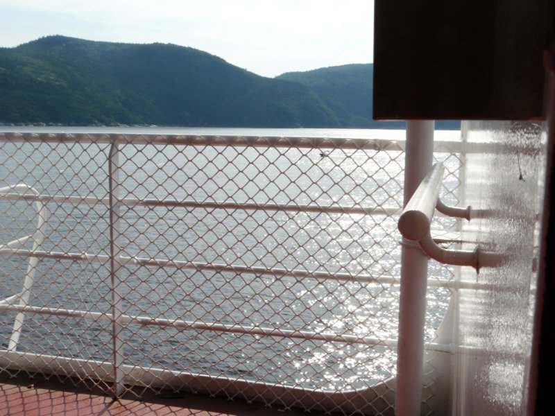 p1010875.jpg